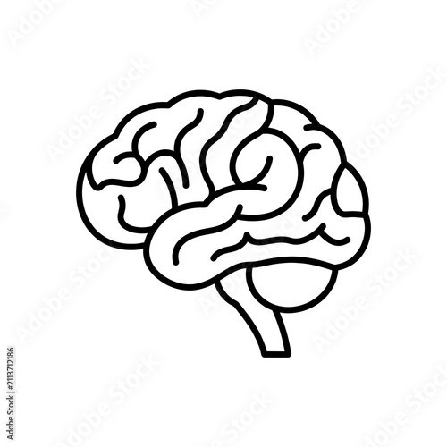 Simple line art illustration of a human brain profile isolated on a plain white background