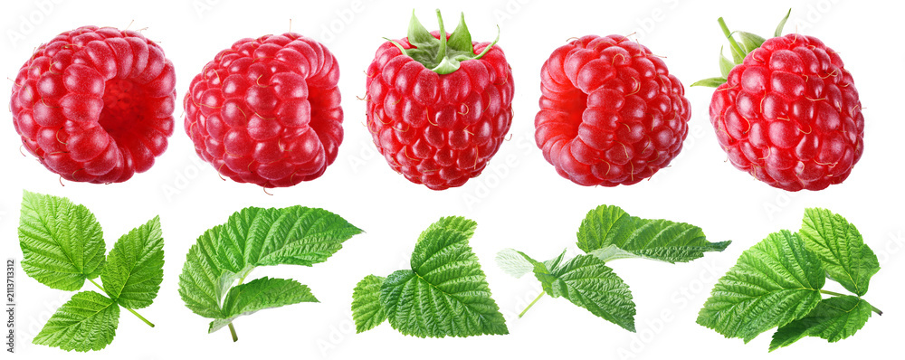 Obraz premium Set of juicy ripe raspberries with five leaves isolated on transparent background.