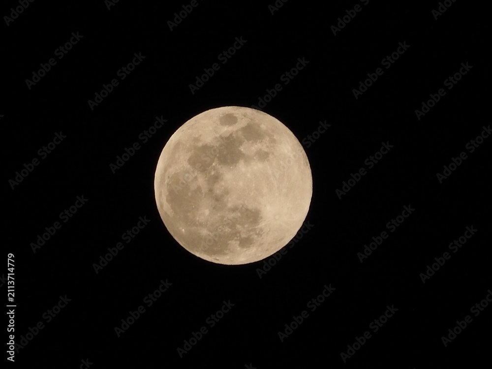 Fototapeta premium Full moon glowing warmly against a pitch black night sky, showing visible surface craters and detailed lunar geography.