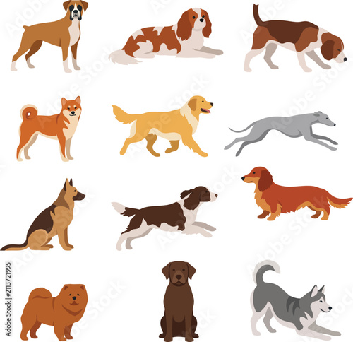 Dog Breeds Flat Color Vector Collection Domestic Pet Animals