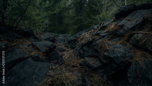 Water Flows Through a Forest With Rocks and Moss Near a Waterfall on a Cloudy...
