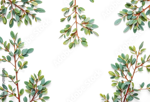 Flat lay of eucalyptus bran...