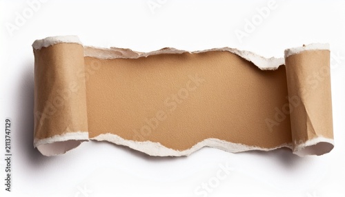 torn paper speech bubble isolated on white background