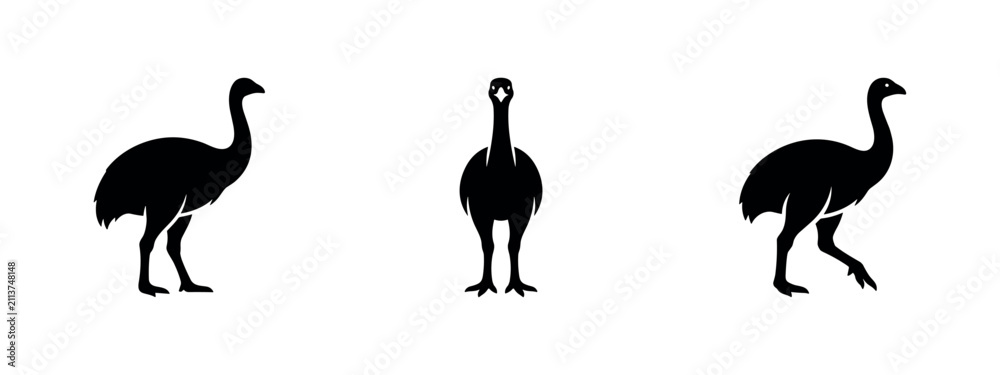 Obraz premium Emu bird silhouette icons