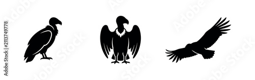 Foto Vulture bird silhouettes perched and flying