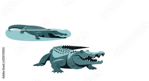 Wild crocodiles vector illustration showing one alligator swimming in water and another walking on land.