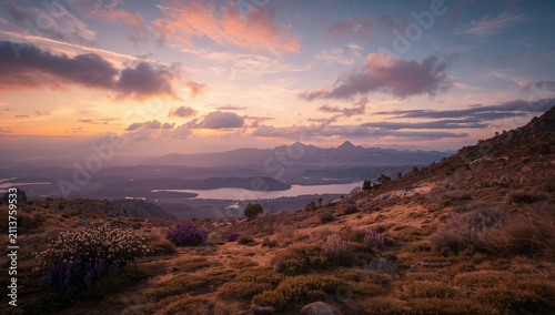 Mountains in the Background With Fields of Purple Flowers in the Afternoon Light