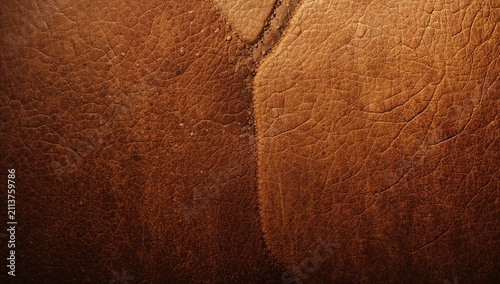 Leather Texture Showing Detailed Patterns and Rich Color