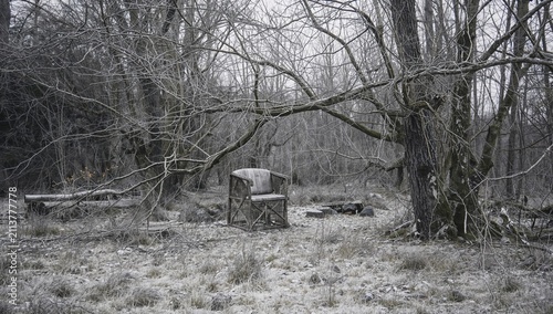 Old Chair in a Winter Forest With Bare Trees and Frost-Covered Ground