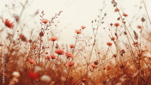 Wildflowers Bloom in a Field During Spring Near a Rural Area With Soft Sunlig...