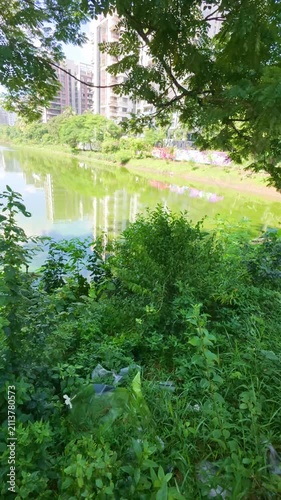 Modern Residential Apartments Reflected in a Calm Urban Lake Framed by Lush Green Foliage