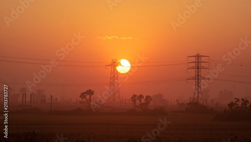 Sunset Over a Field With Power Lines and Silhouettes of Trees in the Background