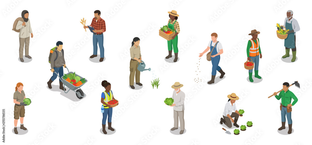 Fototapeta premium Agricultural farmers vector set harvesting fresh crops, watering plants and working | Isometric flat illustration graphics