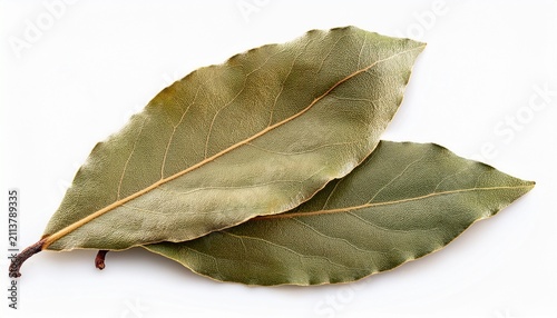 aromatic bay leaves whole and dried on a white backdrop essential for culinary uses and natural medicine