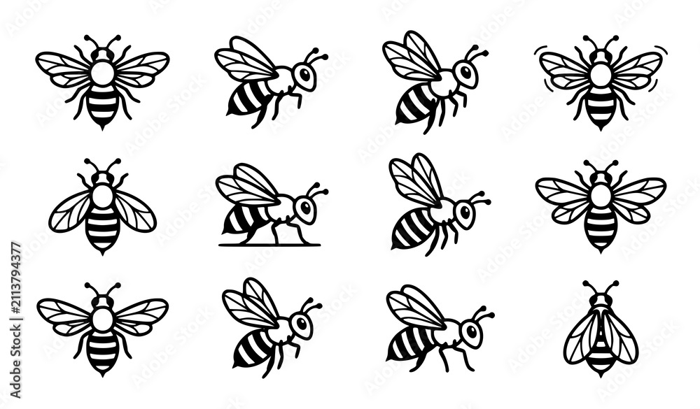Fototapeta premium Minimal Monochrome Honey Bee Line Art Vector Collection