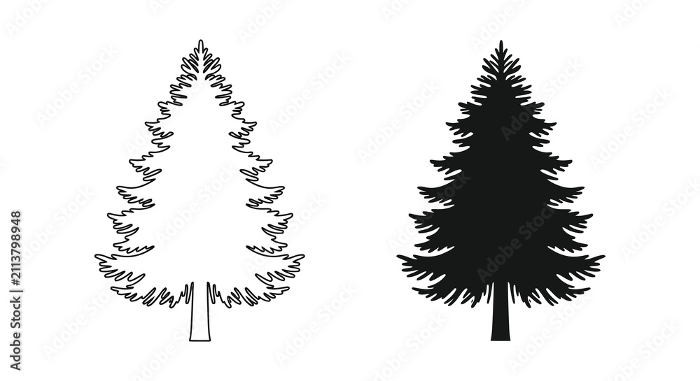 Fototapeta premium Conifer tree outlines and solid black silhouette on a white background
