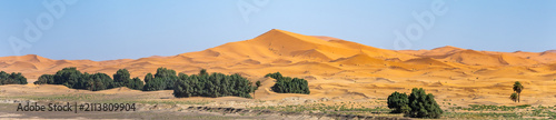 Sand dunes rise high in Erg Chebbi near Merzouga. The sun shines down, highlighting the curves of the sand. Trees break the horizon, adding green to the sandy landscape.