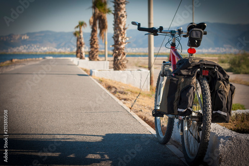 Touring bicycle with pannier bags parked on coastal path with palm trees and sea background