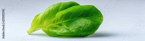 This vibrant green lettuce leaf is perfect for health-related projects, culinary websites, or recipes emphasizing fresh ingredients, Its crisp texture and rich color evoke freshness and nutrition,