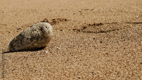 Solitary smooth grey stone resting on a textured sandy beach under bright natural sunlight
