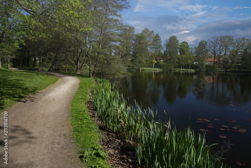 Path in the nature in denmark