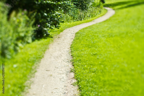Path in the nature in denmark
