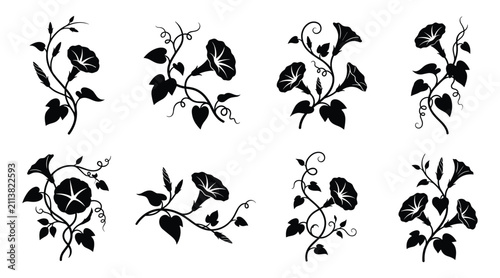 Morning Glory Flower Silhouette Vector Collection Vine Climbing Floral Isolated on White Background