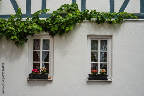 Konstfotografi Fassade mit Fachwerk,Fenstern und Weinranken