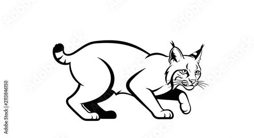 Bobcat mascot line art illustration prowling on white background