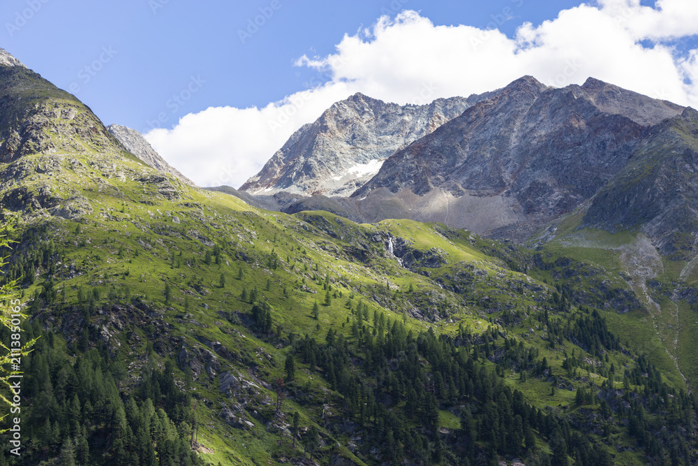 Fototapeta premium Alpine Berglandschaft mit dichtem Nadelwald und verschneiten Gipfeln