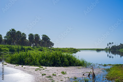 san jose del cabo estuary wetlands of baja california mexico