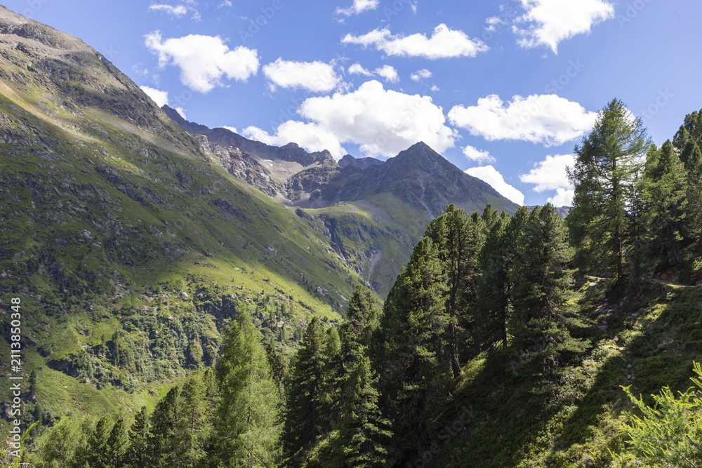 Fototapeta premium Idyllisches Alpental mit Bergbach und grünen Berghängen