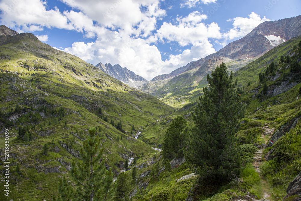 Fototapeta premium Idyllisches Alpental mit Bergbach und grünen Berghängen
