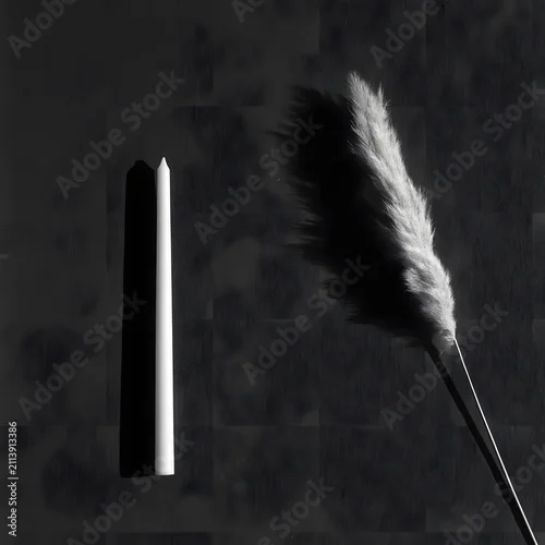 Obraz Tall taper candle and dried pampas grass on dark charcoal backdrop