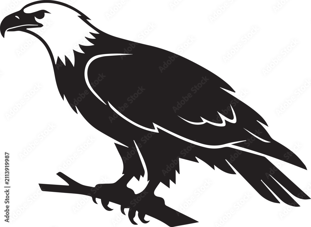 Obraz premium Bald eagle perched on branch silhouette graphic with bird of prey, silhouette