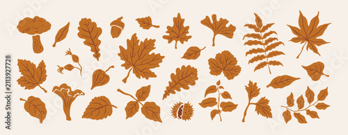 Botanical set of autumn plants, mushrooms, acorn, chestnut and branches