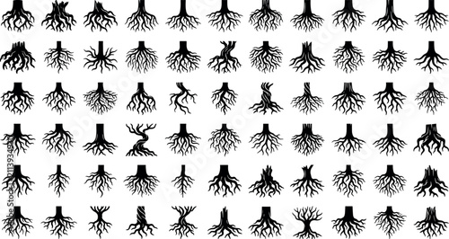Fotografía Tree roots silhouette mega icon set with black vector subterranean organic branc