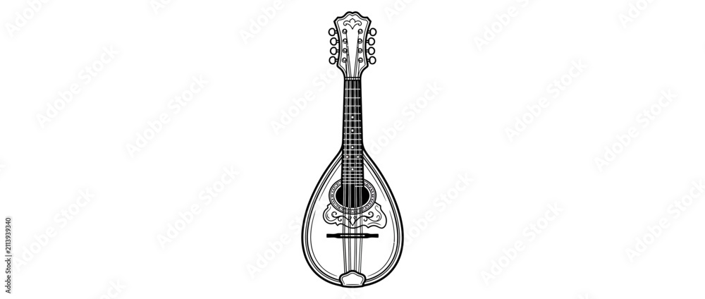 Foto Ornate Stringed Instrument Illustration
