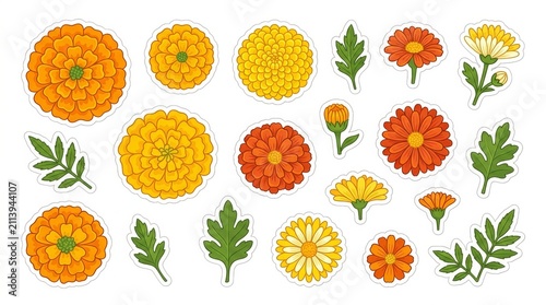 Set of marigold and calendula flower stickers isolated on white