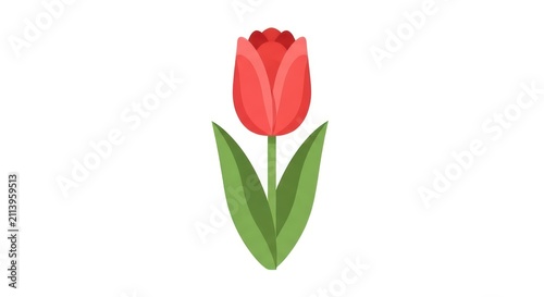 Vibrant Red Tulip Flower Illustration.