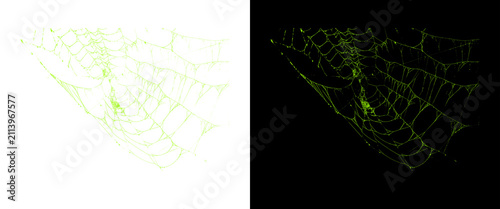 Quadro su tela Glowing green spider web on black and white backgrounds, neon cobweb texture, sp