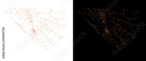 Foto Intricate spider web design elements, delicate cobweb textures on white and blac