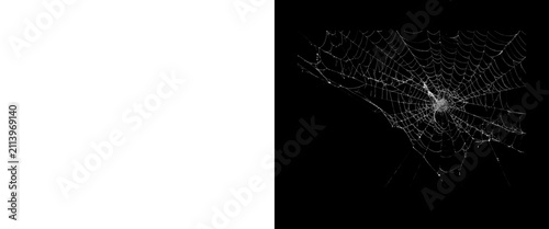 Foto Intricate spider web on black background, delicate white silk threads in dark sp