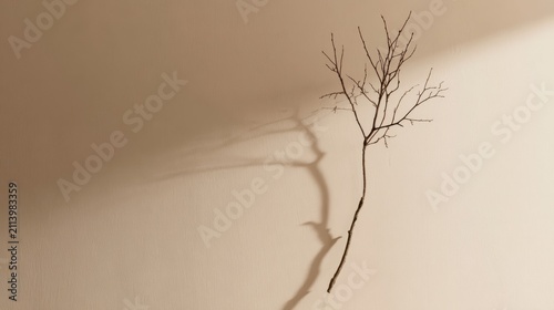 Small bare winter branch casting a soft shadow on a plain beige wall.