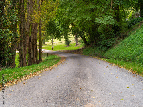 Canvas Print Car background, automotive backplate, tranquil country road in fall lined with t