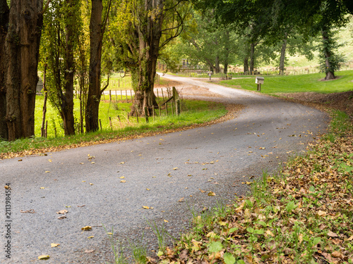 Fotografía Car background, automotive backplate, tranquil country road in fall lined with t