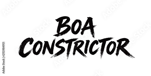 Bild auf Leinwand BOA CONSTRICTOR Handwriting