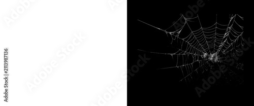 Intricate spider web on black background, delicate white cobweb texture, spooky halloween design element, fragile silk thread pattern