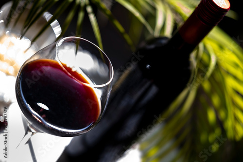 Cuadro en lienzo Diagonal angle of Barolo Nebbiolo red wine glass with bottle and palm foliage li