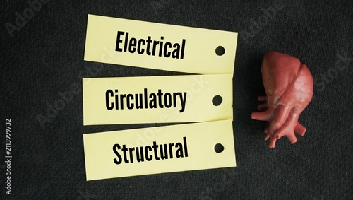 Canvastavla Electrical, circulatory, and structural word categories describe the three main ways heart disease and heart problems develop